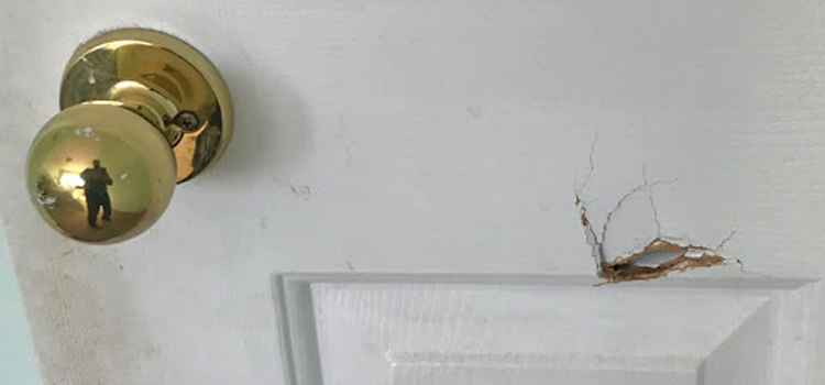 interior door hole repair Cameron Park