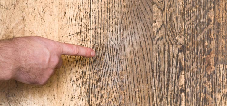 Wood Door Scratch Repair in Cameron Park